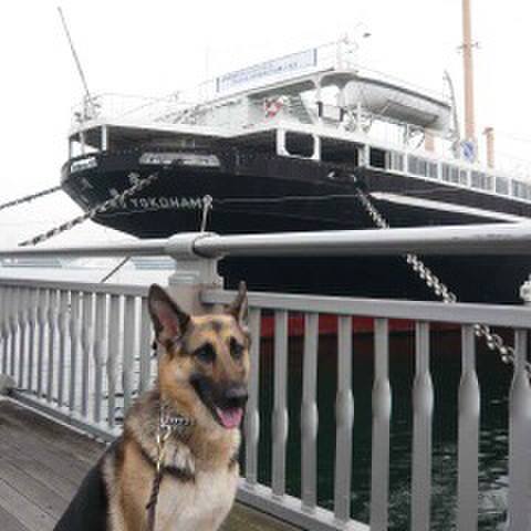 Df2fd7f7 3c48 489b 8221 25c50b15fa62