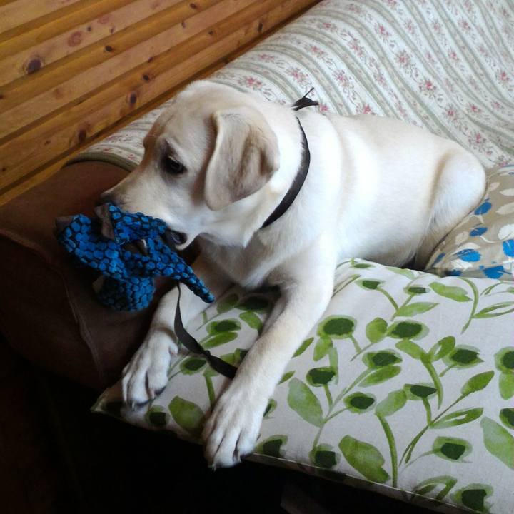 Df2ff6e2 c026 4c52 af50 e7d2cd2f8835