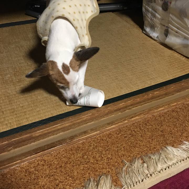 Df305143 9460 4388 806a 81885537efd0