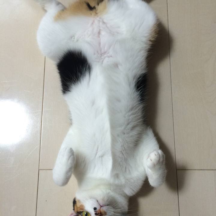 Df306dd8 adc8 47b3 a78b bd7198f7f5c0