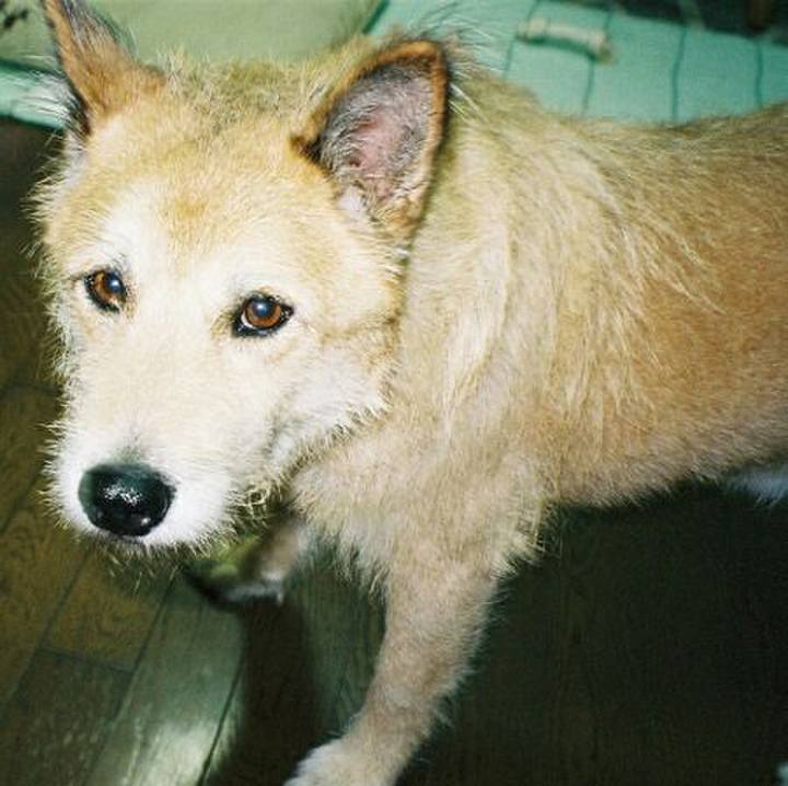 Df3072a2 ae0b 440a a3a3 d924d68e74b6