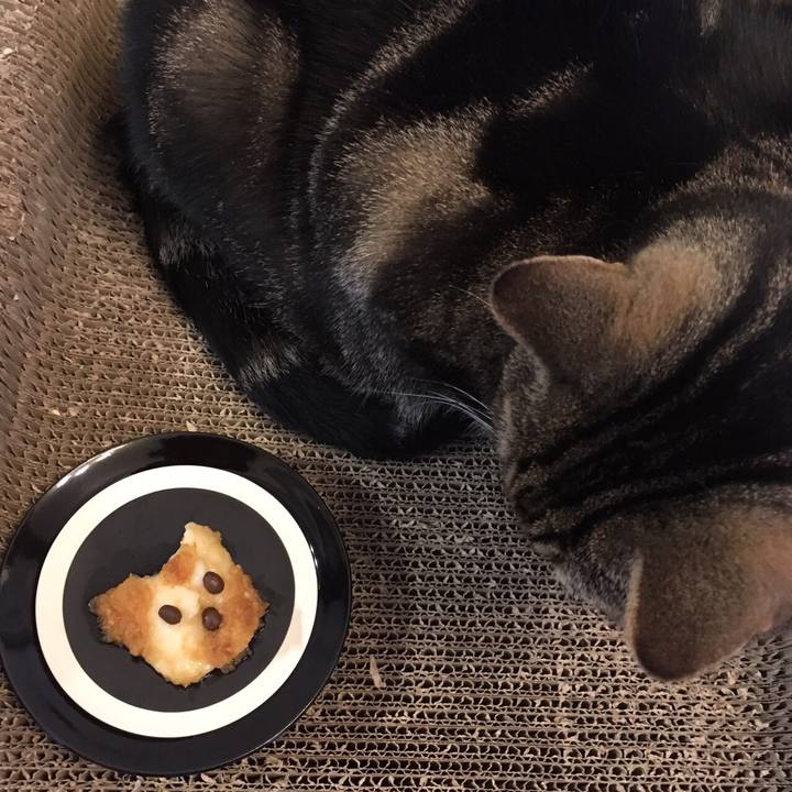 Df30d373 c73c 4baa 8a4a 4ab9fef4aa04