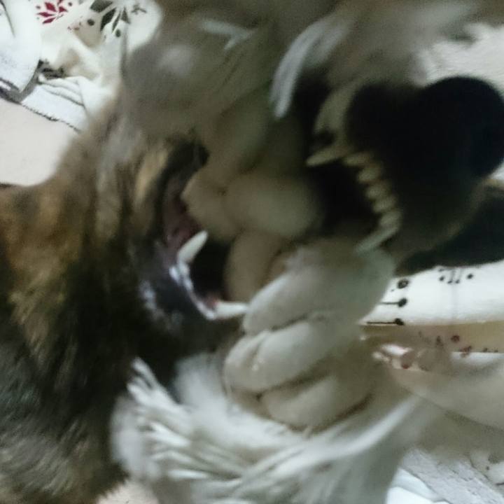 Df313fb1 1718 4861 af66 117404de8a06