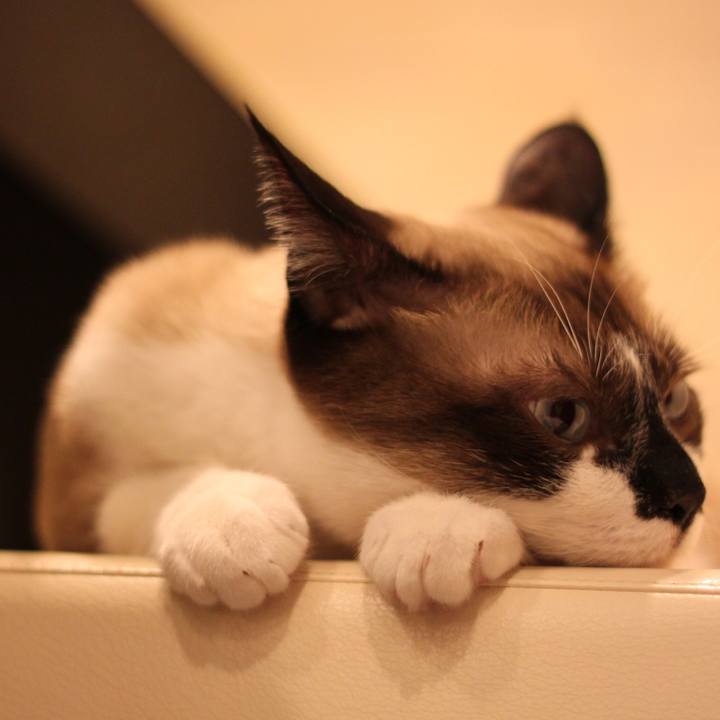 Df31493b b28f 40f8 9224 a9bcf7aaad74