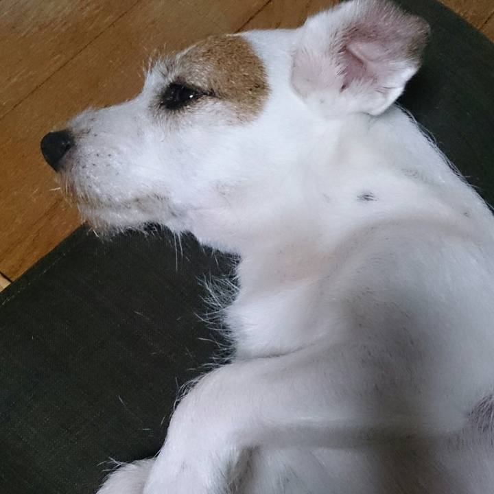 Df3291eb 32d8 45c2 a663 13012f4add87