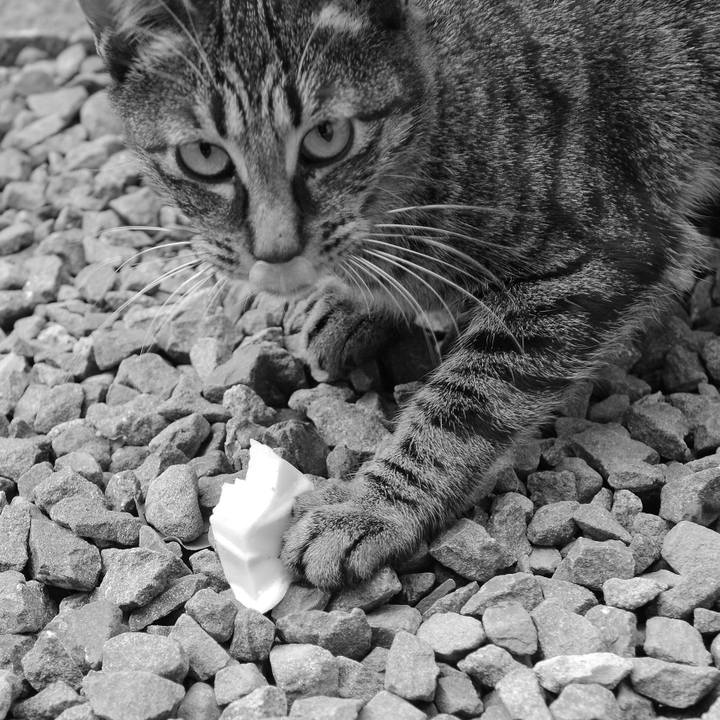 Df32a690 87bd 42b1 a908 41b0cdbd1b4a