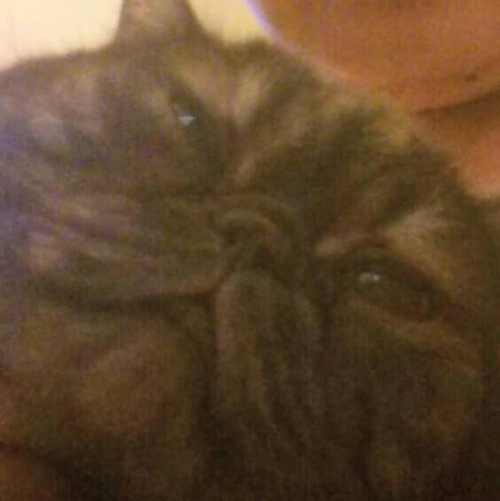 Df32f665 206c 479b 8723 dee257a356fa