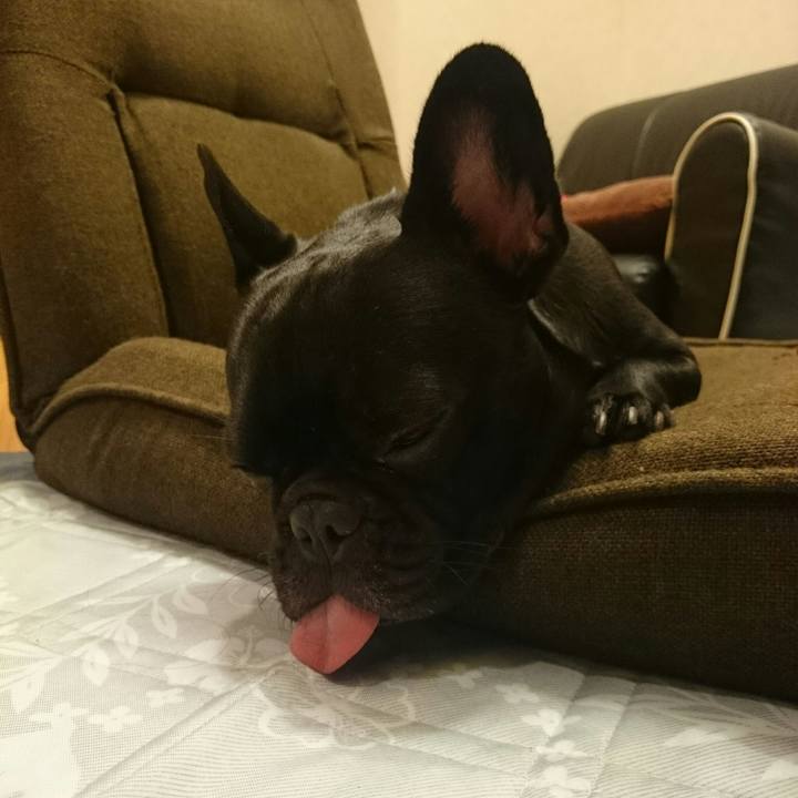 Df33b38f d644 4519 a290 f302f8b7f254