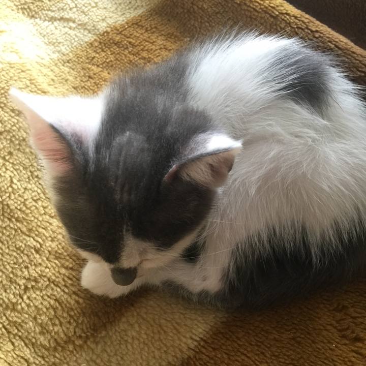 Df342dc8 dbd2 4620 aec1 3bd084e82e82