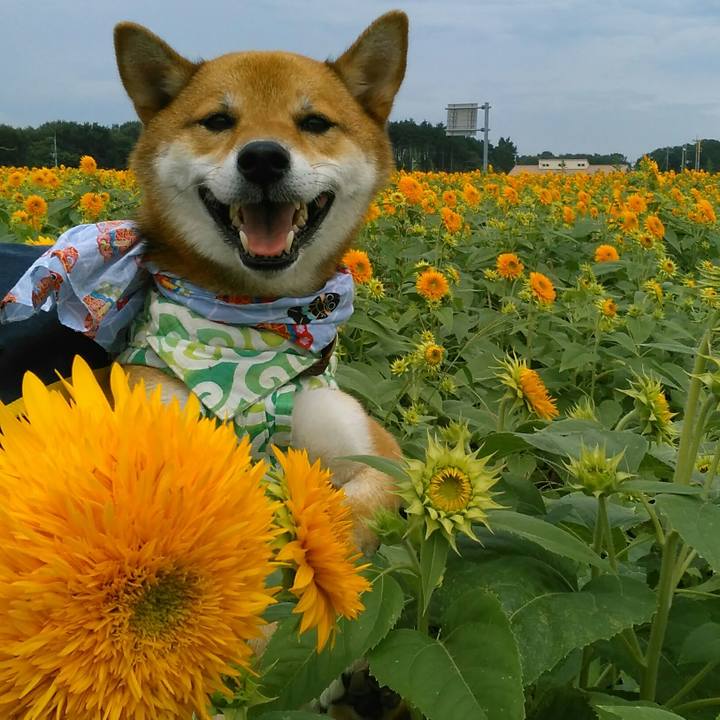 Df342ef8 3c11 46c1 8d37 1b1b7062b340