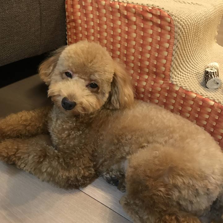 Df3449e6 f5eb 4fbc 900d d08a6eaf4873