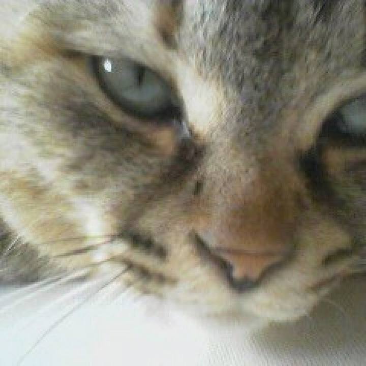 Df34a06d d26d 4854 b48c 3cf021eaa074