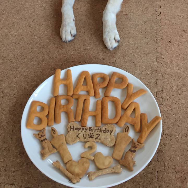 Df350b5d fa17 4fb6 bbe0 401cc9bbf16f