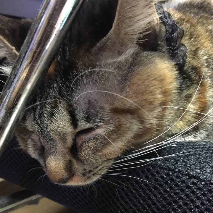 Df3538e2 5cdd 402a b79c fac4fb48451d