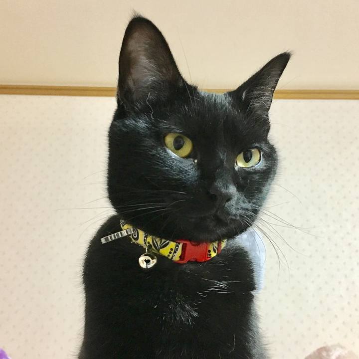 Df355375 76db 401b b457 34f580ed2fc7