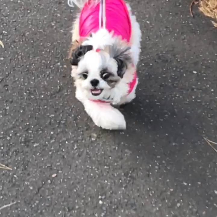 Df36d2ed d4e0 4065 b121 1e68b89fef66