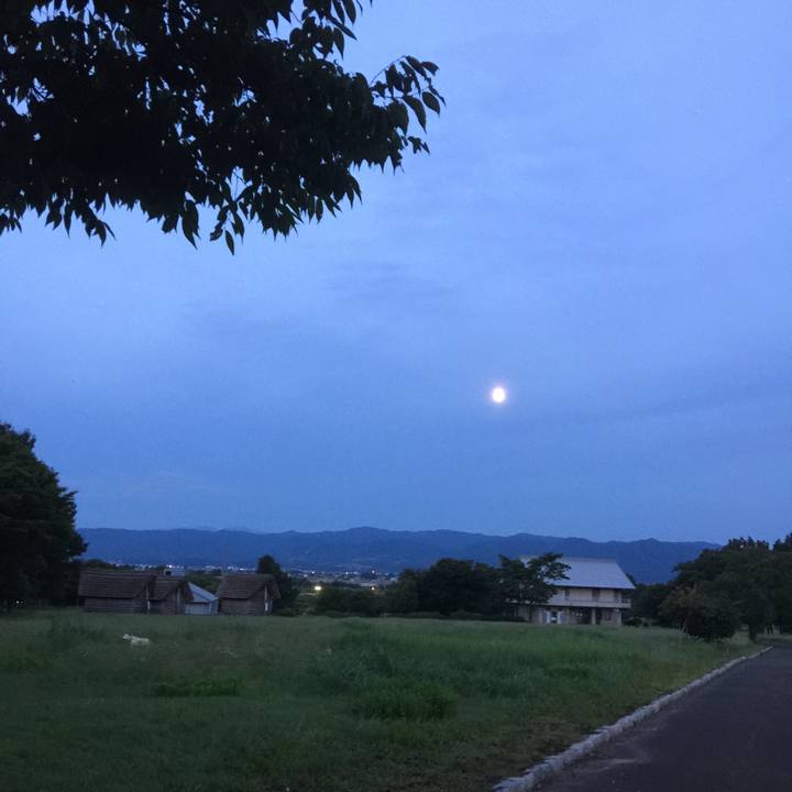 Df373da6 4efb 4e5b 963b 423cee1a8f58