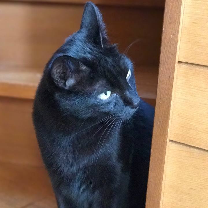 Df377825 b7a7 45ad 8cd5 1ef160ac7c64