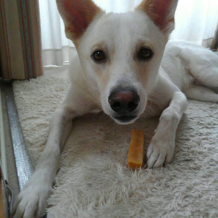 Df37c05e f46a 487e 9efd 85ba52b980d8