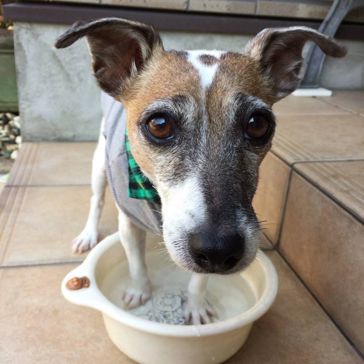 Df37cdc3 e301 415f 826e 605e3f1a4ccd