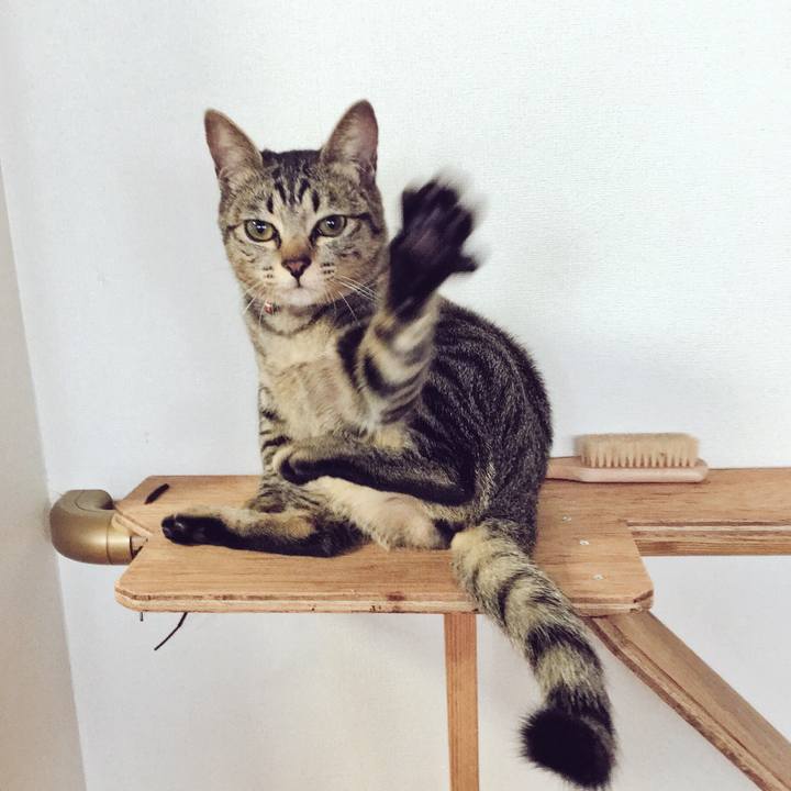 Df38be47 4fd4 4367 8400 229900b7b497