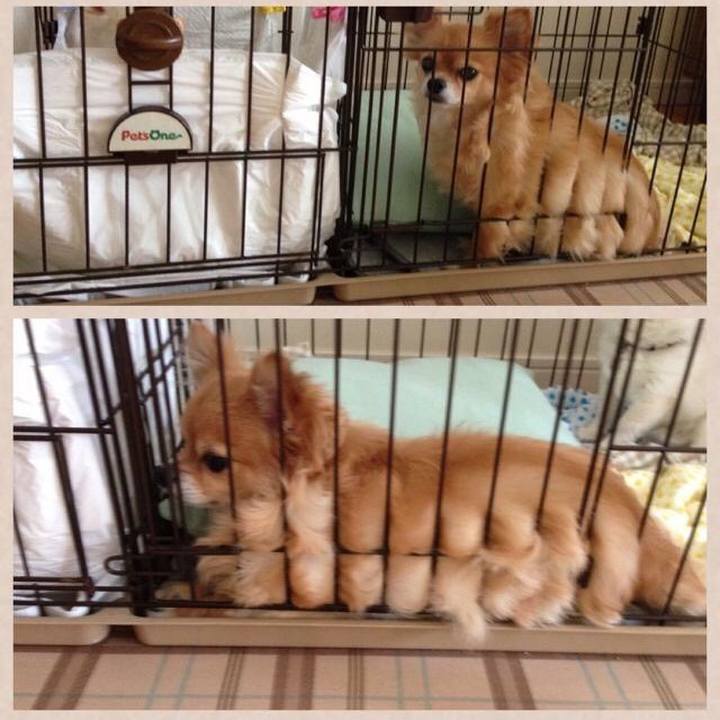 Df38cbba 0fc1 4772 a6ca ee3199218e7e