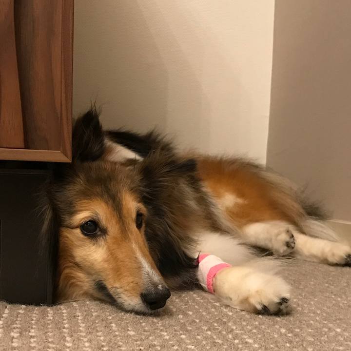 Df3948e8 e580 4cba 9cf3 37fc677d9ad8