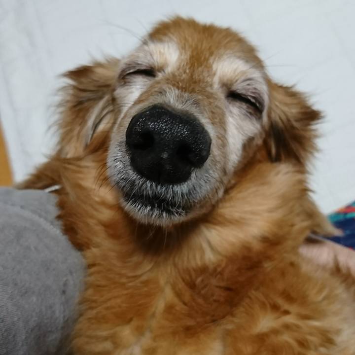 Df39aef0 9845 4c0c 84af 683d3843ee26