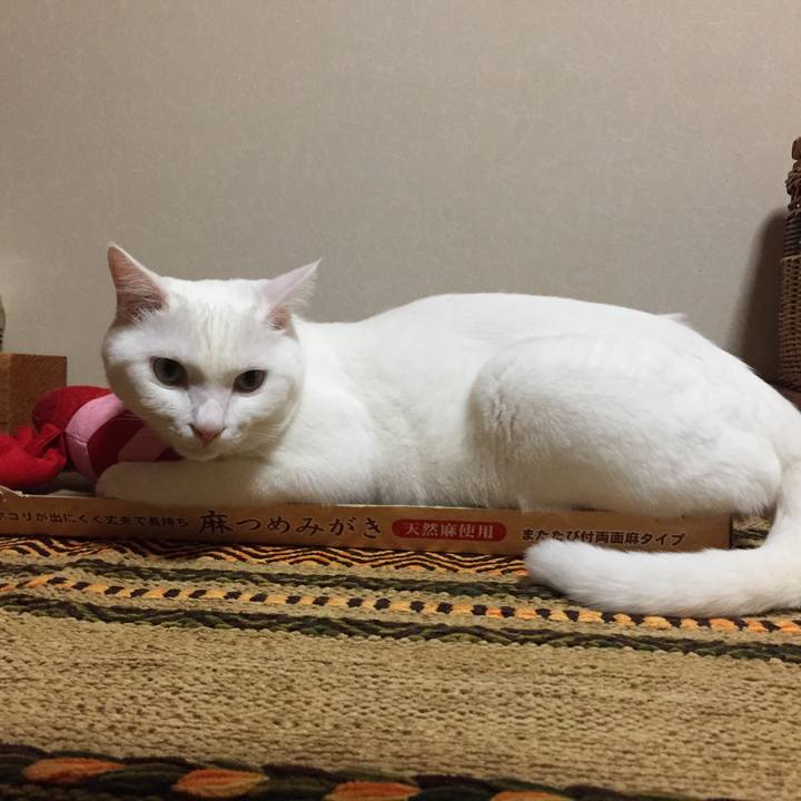 Df3a76ac ca13 4b70 b2ba fbf0687b424d