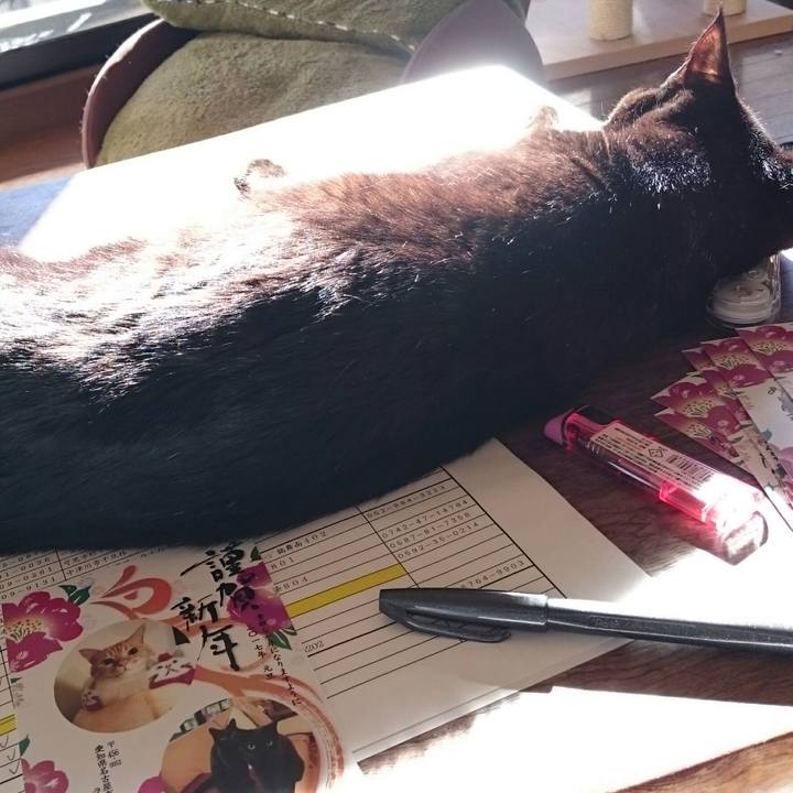 Df3b651c 3e88 41d9 bd25 44a7da435fdc