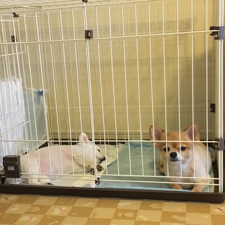 Df3c5c4f 91f0 4e27 ba5c 33943015db24