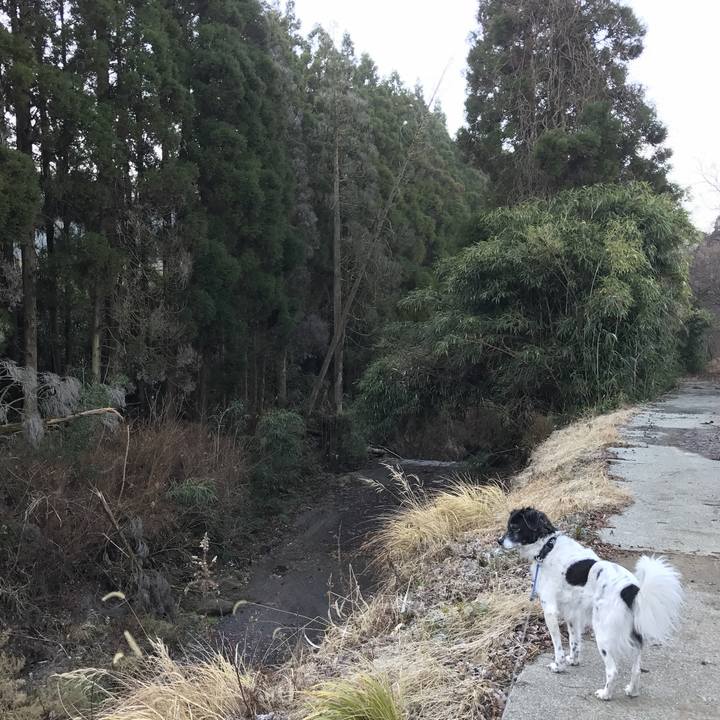 Df3c8829 baee 429d 84d4 5d3a4e4803cd