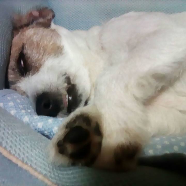 Df3cfc8a ad20 42ea 9a45 2ede38c086c5