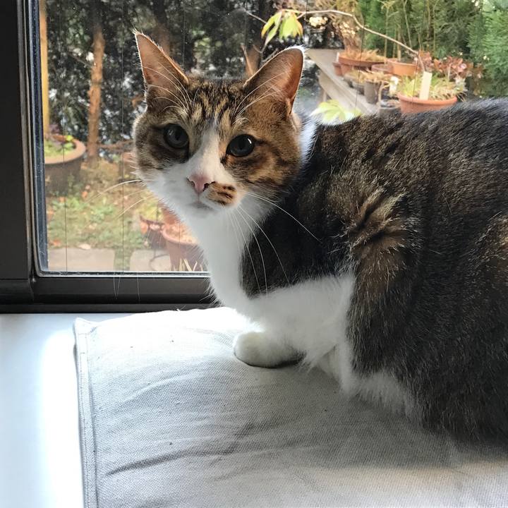 Df3d5fda f3e7 41d4 b7d2 f40c26dd7b42