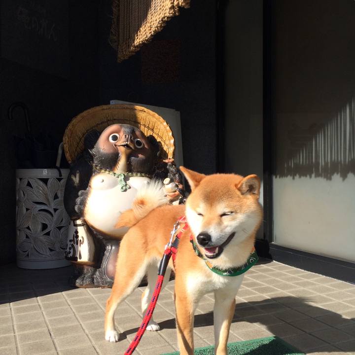 Df3deb01 db26 424f 9703 92f0fb68fbe7