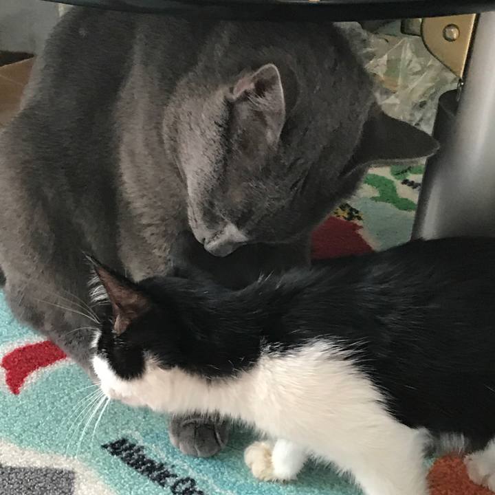 Df3e5381 46d8 4c1c bbb4 a1a643c71dec