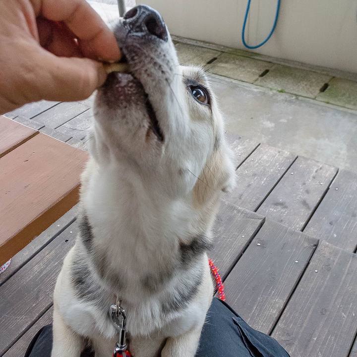 Df3efaf0 a33d 4ce7 bc54 ac23769884af