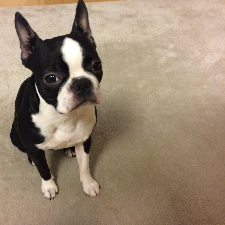 Df3f7cc9 d476 43a5 839c b75680194cdd