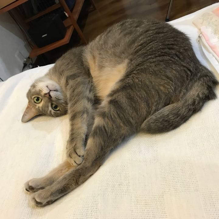 Df40b411 7086 4266 94d4 47e365e3cfd9