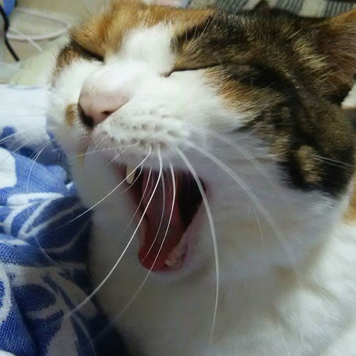 Df415e89 b086 48b2 8f85 45494cd04283