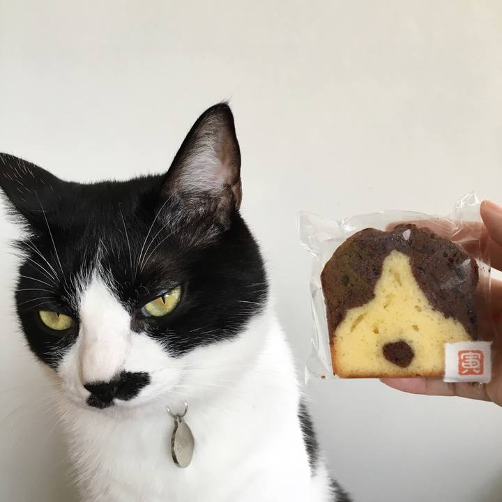 Df4198da ee3c 4272 b1f2 5ebbf2aac78c