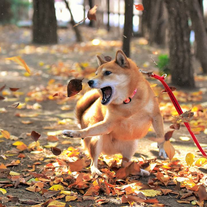 Df424587 b95f 4e3a 95c8 0753e2da1085