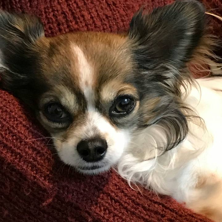 Df425803 bb2c 46b9 a641 213690cd508b