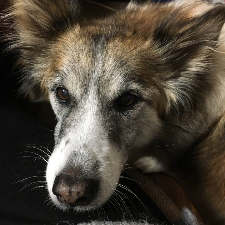 Df438638 0f64 4e75 a9fc 66f0f5b29631