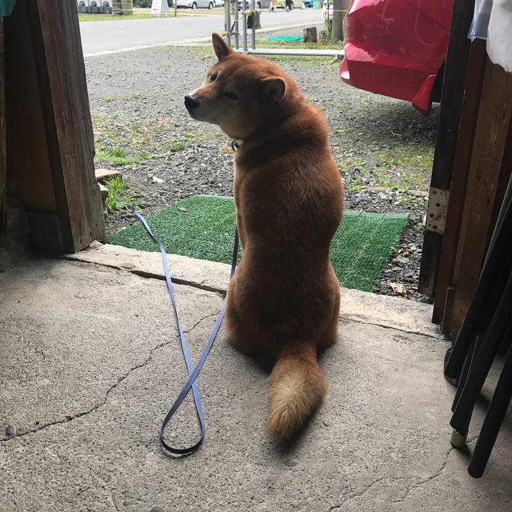 Df43bf3e 3782 4774 981f 3436d1555e18