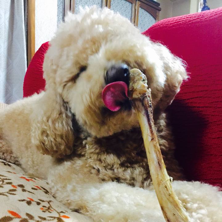 Df446f6a 805b 4dad b6c5 a603ba257c05