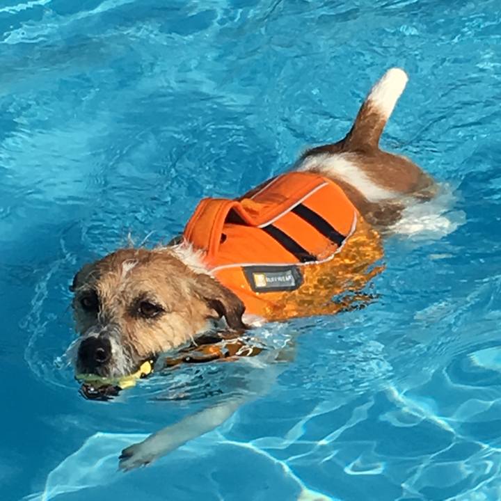 Df453955 0c11 457b b142 b8f1666f55b7