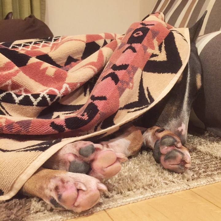 Df45fdad 4393 4826 a781 c3c6a36d4649