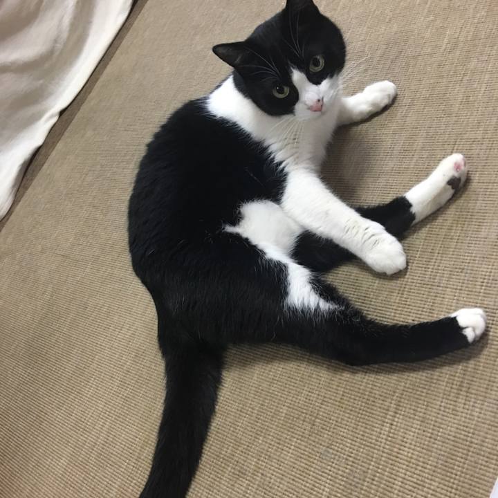 Df46114f ad5b 4cd1 9e62 5dbe4e689042