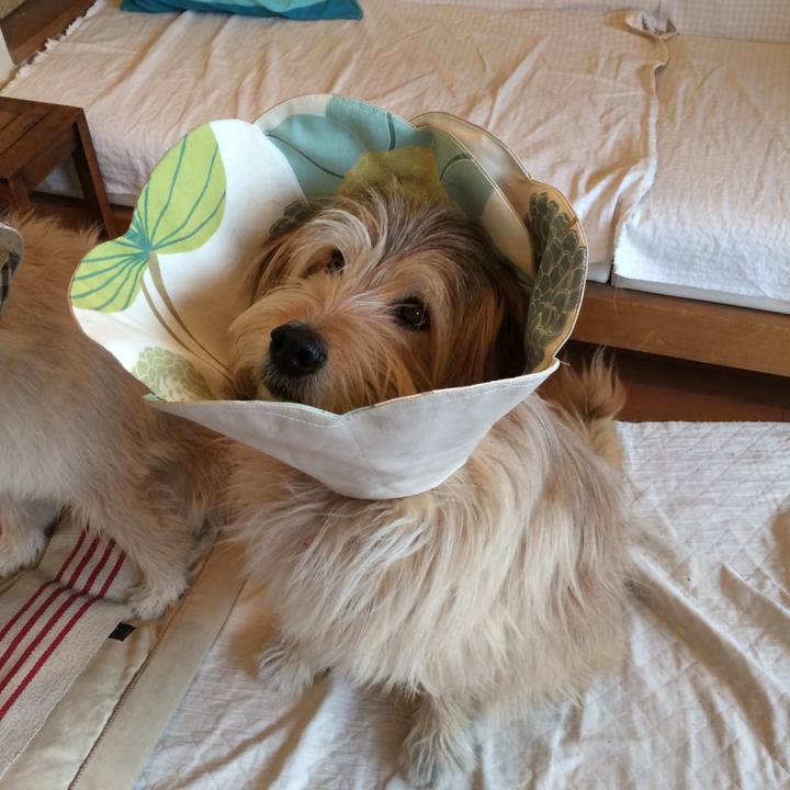 Df466660 68a4 4c1e a79c 5ee39f179d48